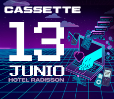 CASSETTE 13.06