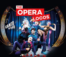 THE OPERA NO TEATRO ELIAS ANGELONI