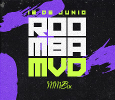 13.06 ROOMBA MVD