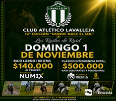 PRUEBAS CORTAS DOMINGO