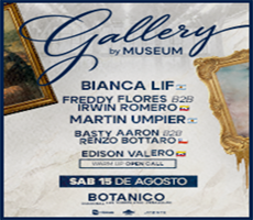 GALLERY BY MUSEUM