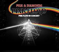 PIGS & DIAMONDS - PINK FLOYD IN CONC